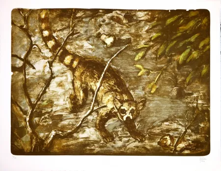 Litografia Aceves Humana - Cacomitle