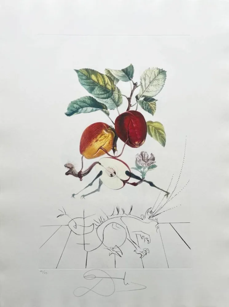 Litografia Dali - Dragon Apple from Flordali suite