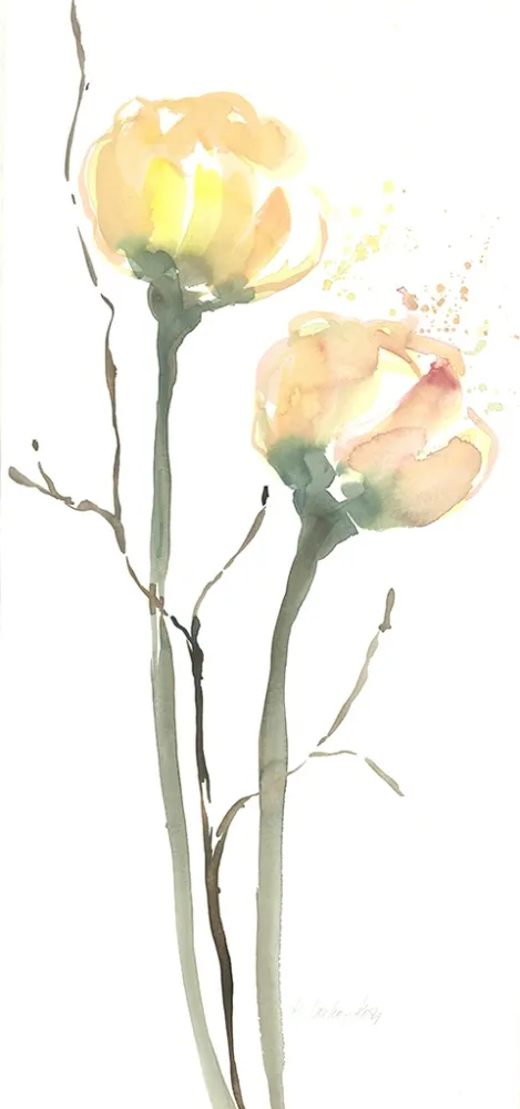 Non Tecnico Decker-Kern - Blüten