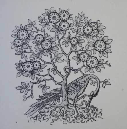 Incisione Su Legno Grasset - Ornements typographiques