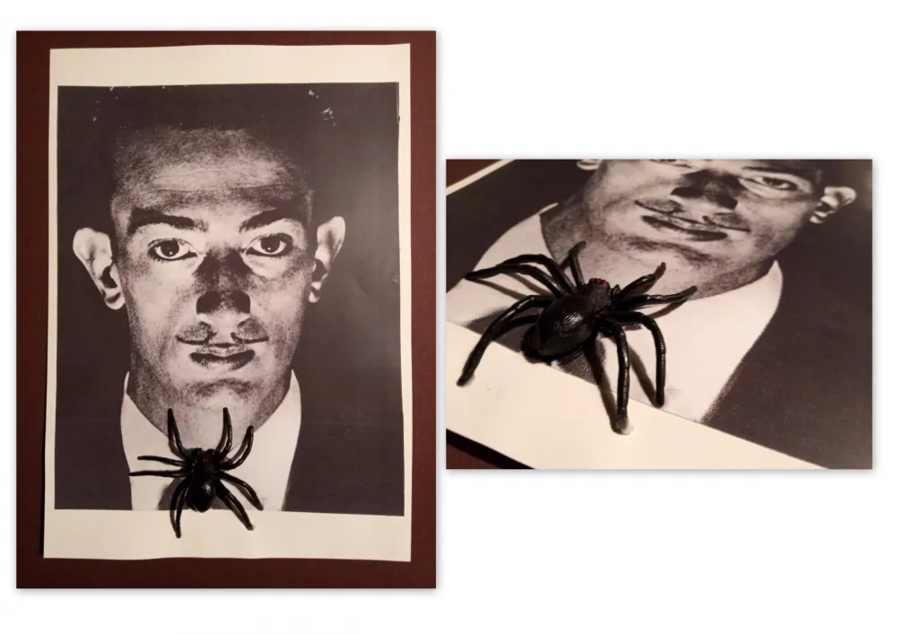 Non Tecnico Metras - Collage - Dalí S/T