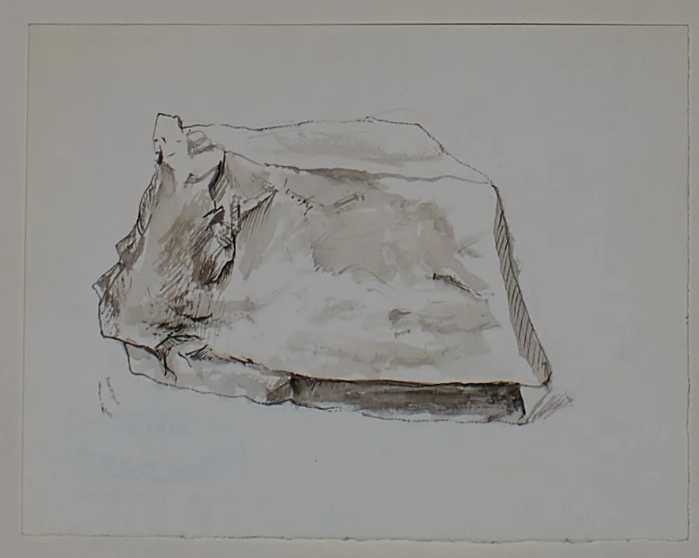 Non Tecnico Pastor - Etude