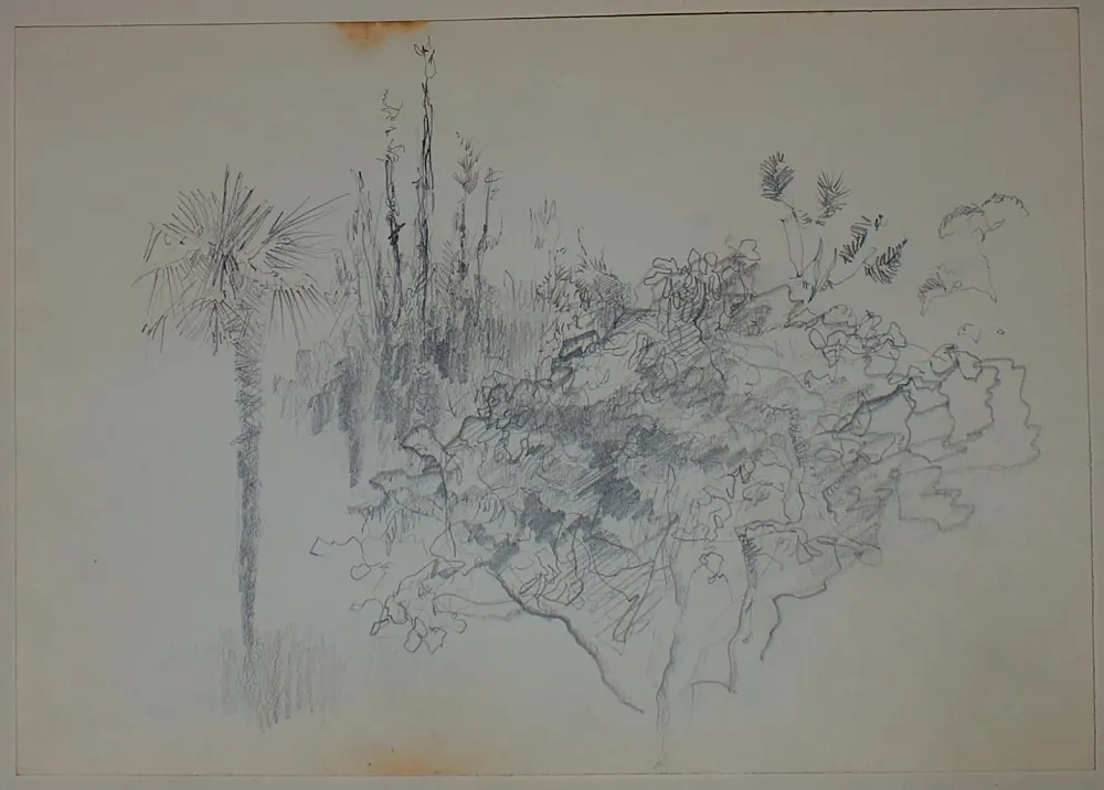 Non Tecnico Pastor - Etude