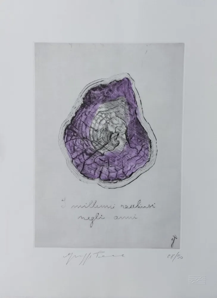 Grafica Numerica Penone - Coupe trtronc d arbre 