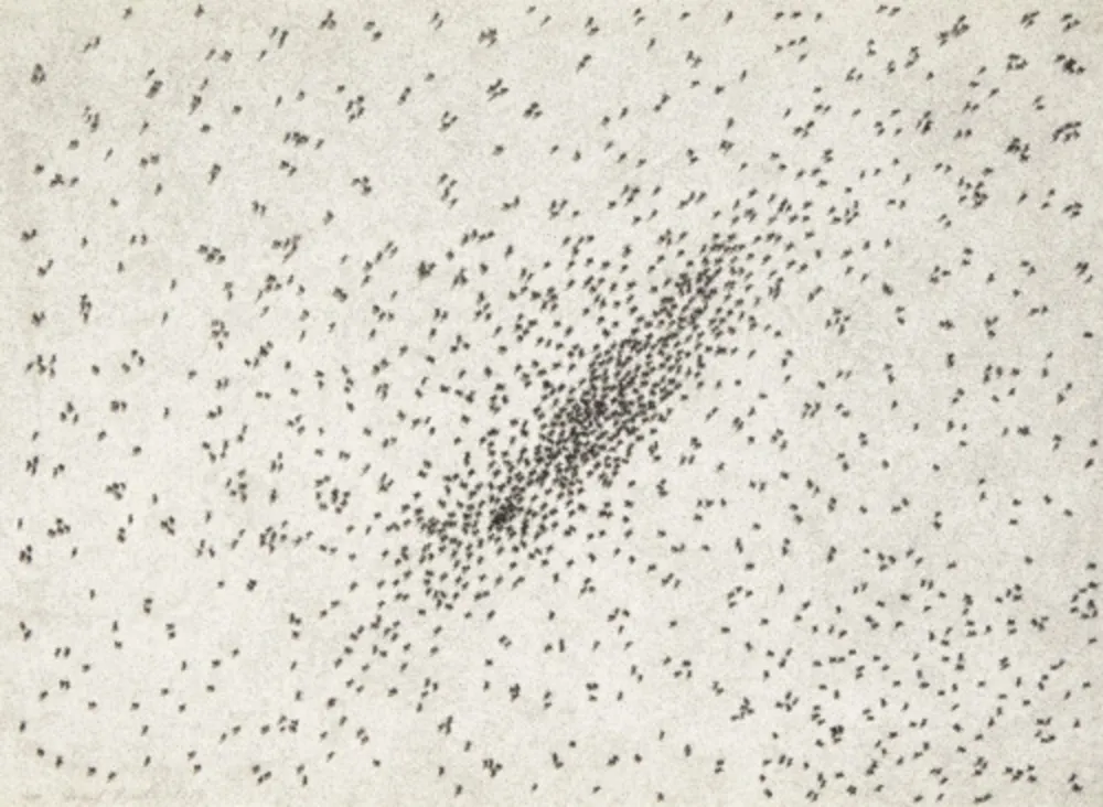 Multiplo Ruscha - Insect Slant (Ants) (from Reality & Paradoxes)