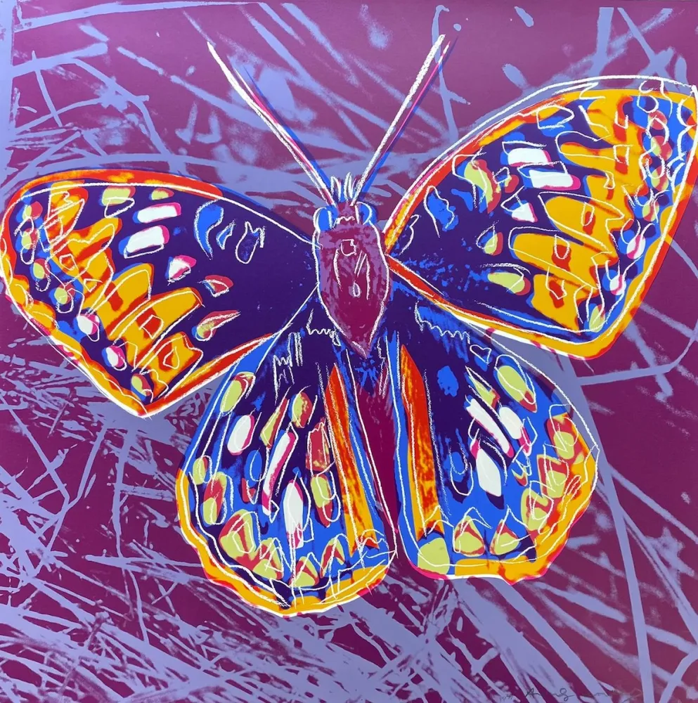 Serigrafia Warhol - San Francisco Silverspot (FS II.298)