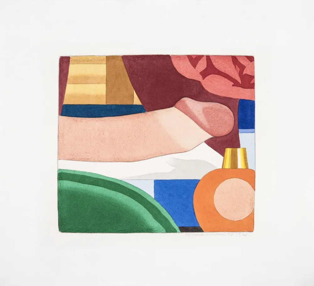 Serigrafia Wesselmann - Bedroom Penis