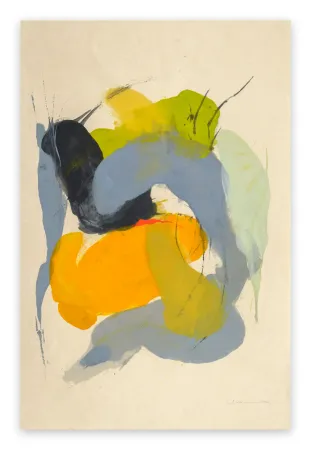 Non Tecnico Adams - Guna WW