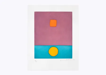 Incisione Adnan - Soleil a vécu (Le)