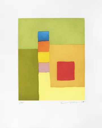 Incisione Adnan - Totem