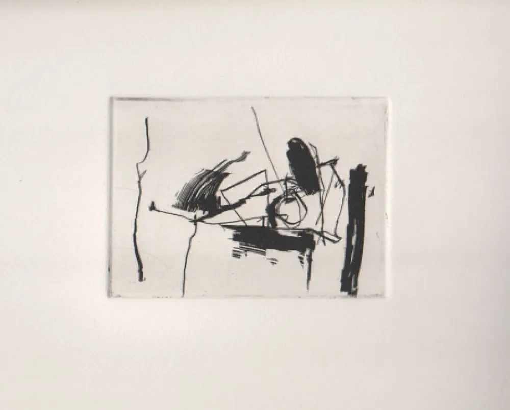 Acquaforte Afro - Nero V