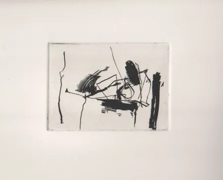 Acquaforte Afro - Nero V