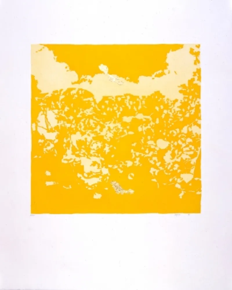 Acquatinta Agosti - Orphée N°II