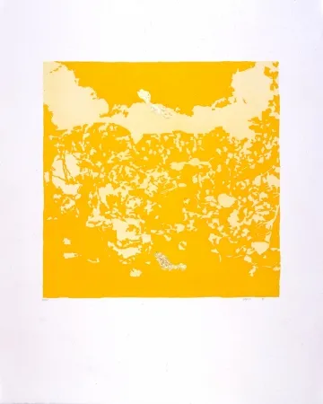 Acquatinta Agosti - Orphée N°II