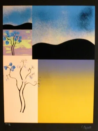 Serigrafia Aguade - Analitica 2