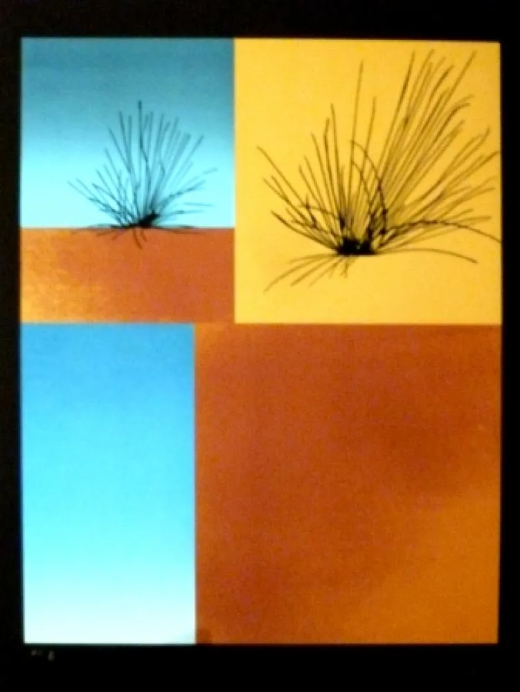 Serigrafia Aguade - Analitica 7