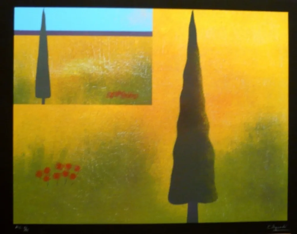 Serigrafia Aguadé - Analitica 9