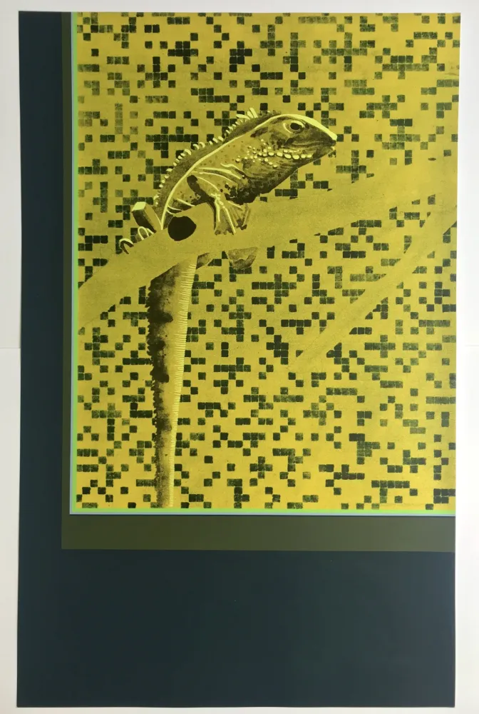 Serigrafia Aillaud - Iguane