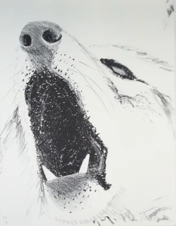 Libro Illustrato Aillaud - L'Encyclopédie de tous les animaux - Tome III