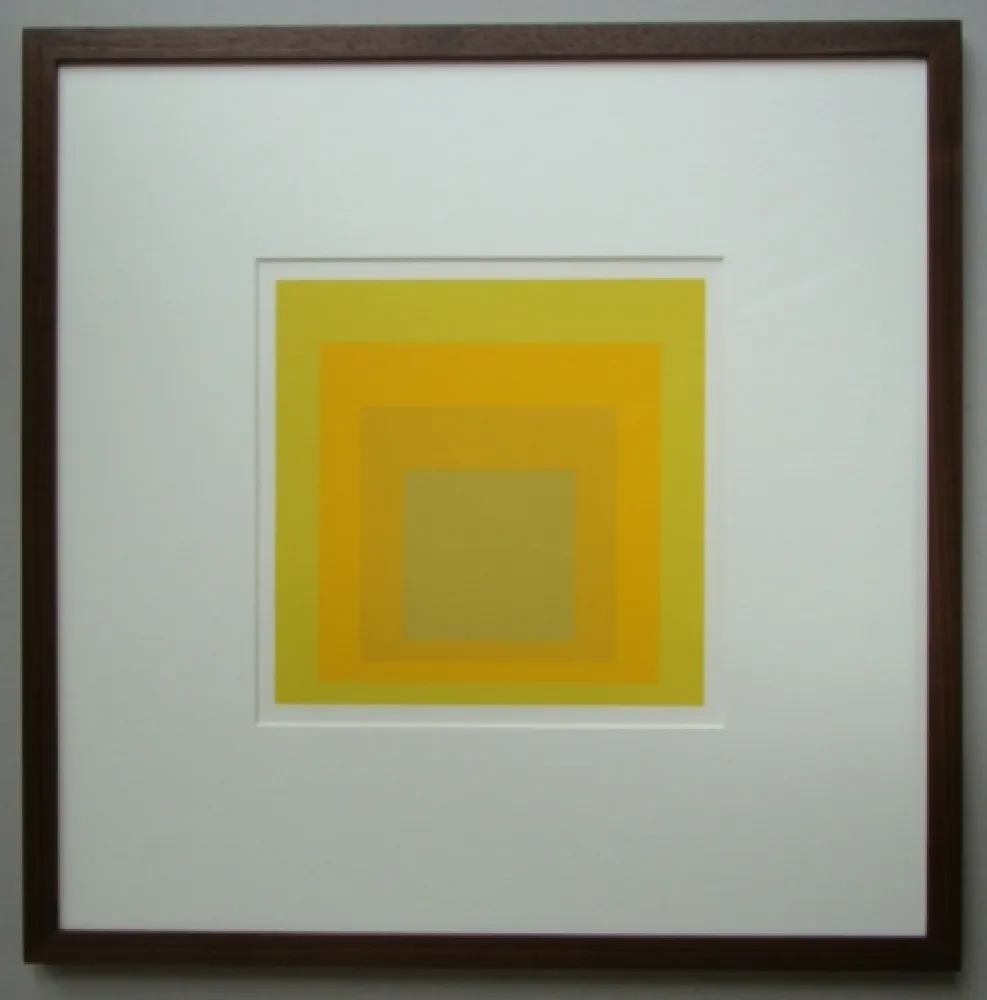 Non Tecnico Albers - Homage to the Square