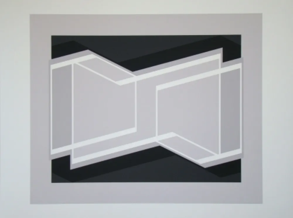 Serigrafia Albers - Kinetic