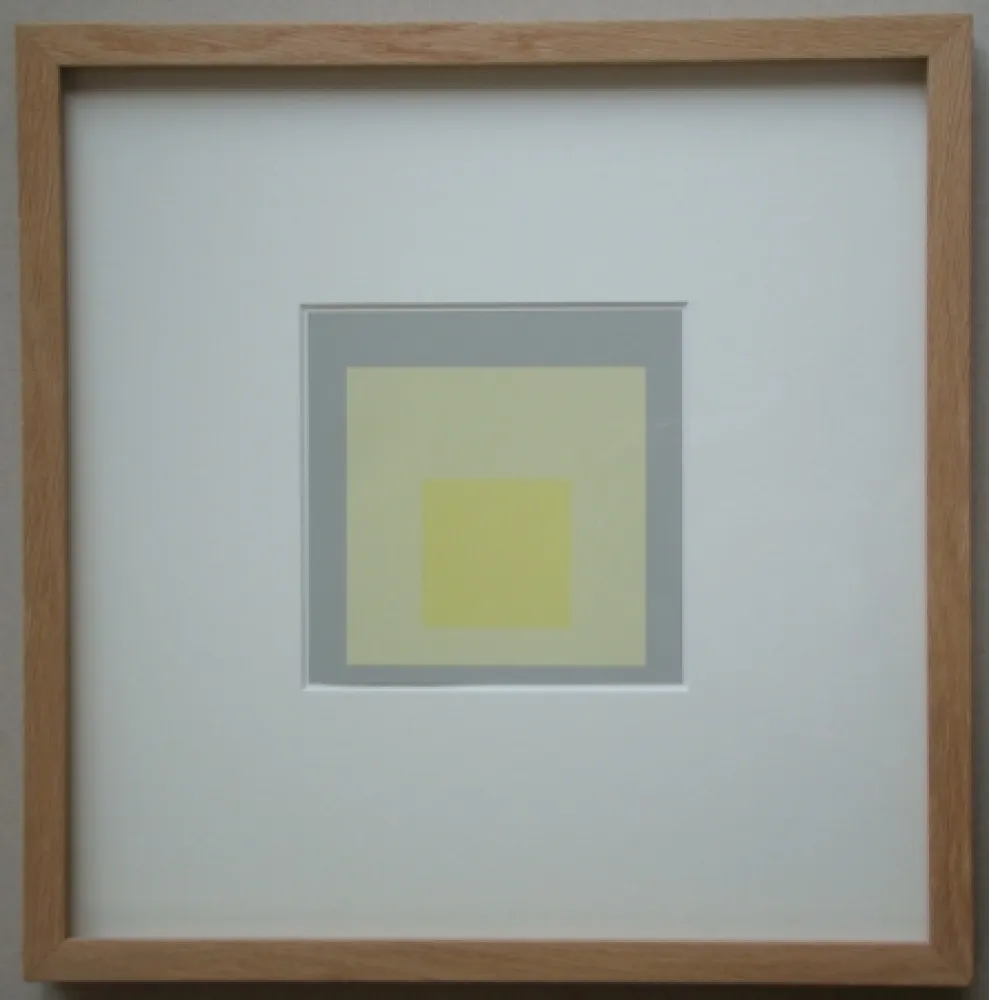 Serigrafia Albers - Morning Sight