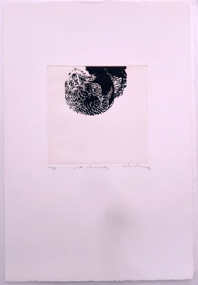 Acquaforte Alcaraz - L'ull i la mirada