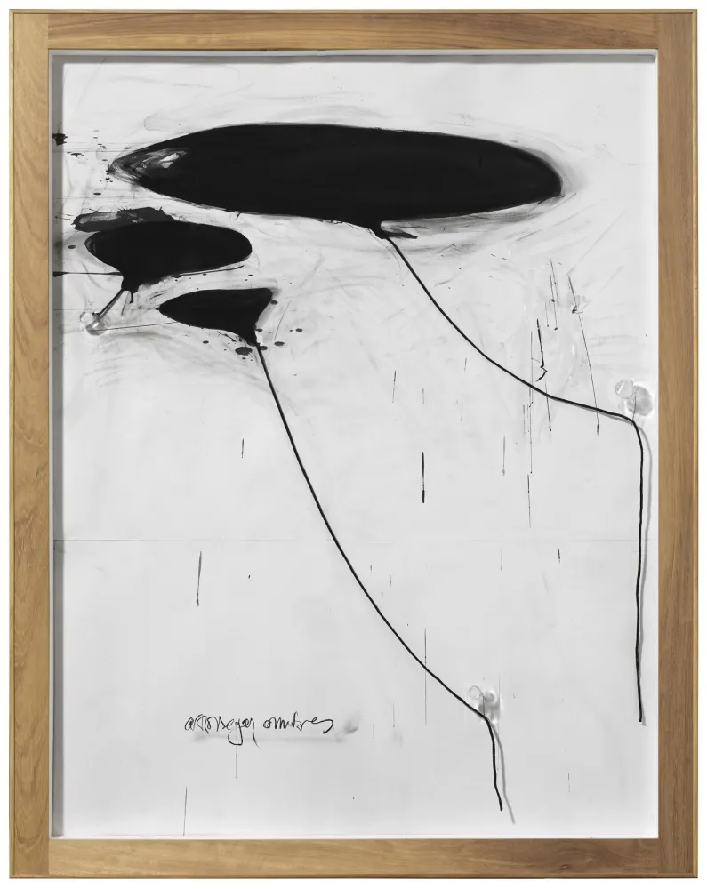 Non Tecnico Alcaraz - Sin titulo