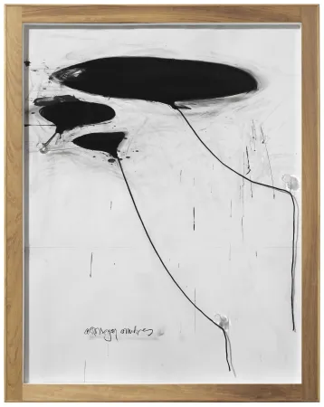 Non Tecnico Alcaraz - Sin titulo