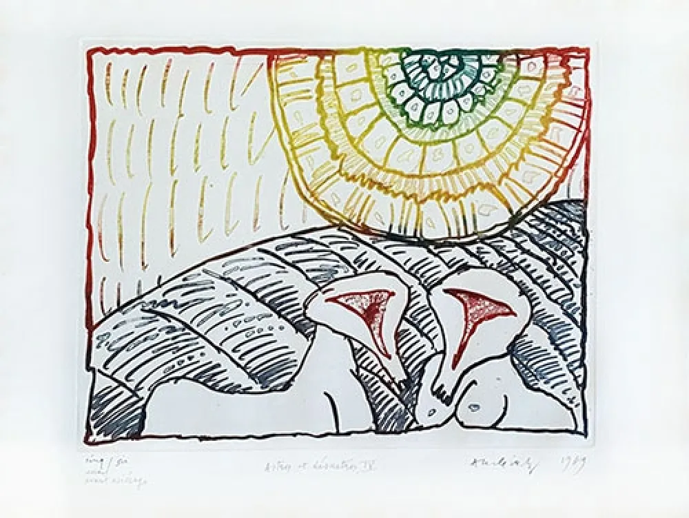 Incisione Alechinsky - Astre et désastre