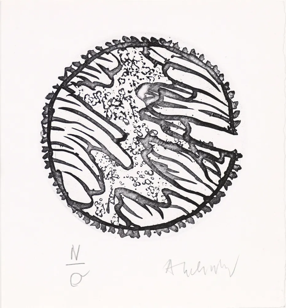 Acquaforte E Acquatinta Alechinsky - Chronique de la neige