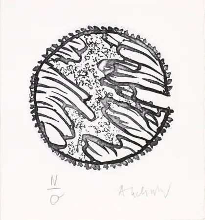 Acquaforte E Acquatinta Alechinsky - Chronique de la neige