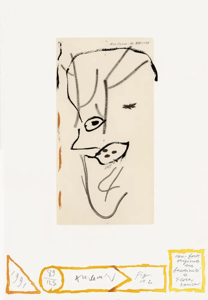 Acquaforte Alechinsky - Flore danoise 02 - De Presque là