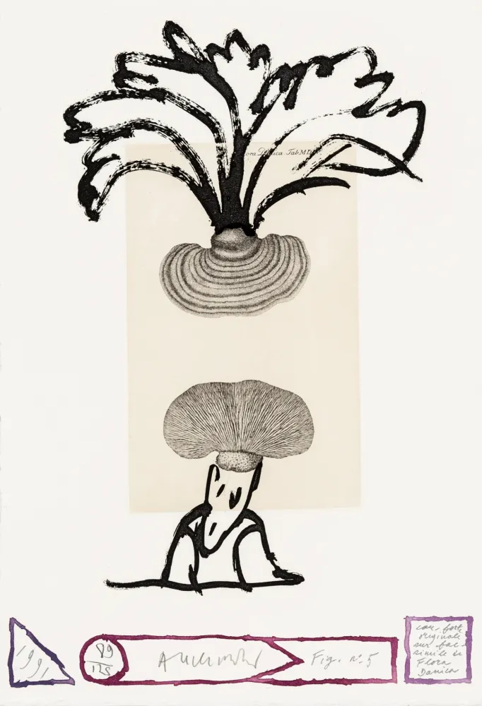 Acquaforte Alechinsky - Flore danoise 05 - Panaches