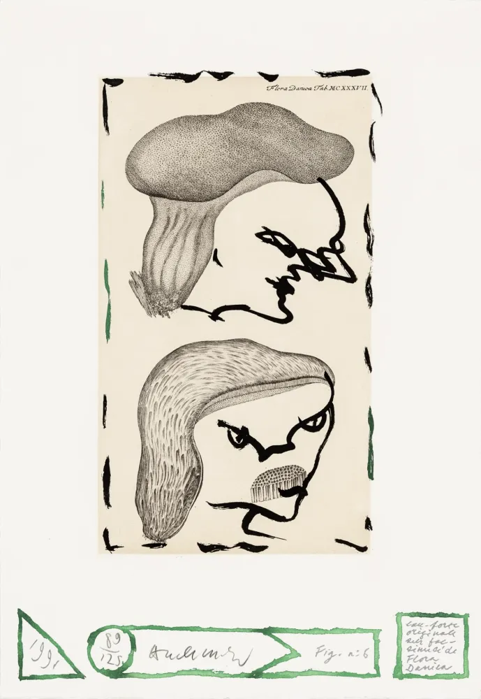 Acquaforte Alechinsky - Flore danoise 06 - Naissance des masques