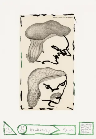 Acquaforte Alechinsky - Flore danoise 06 - Naissance des masques