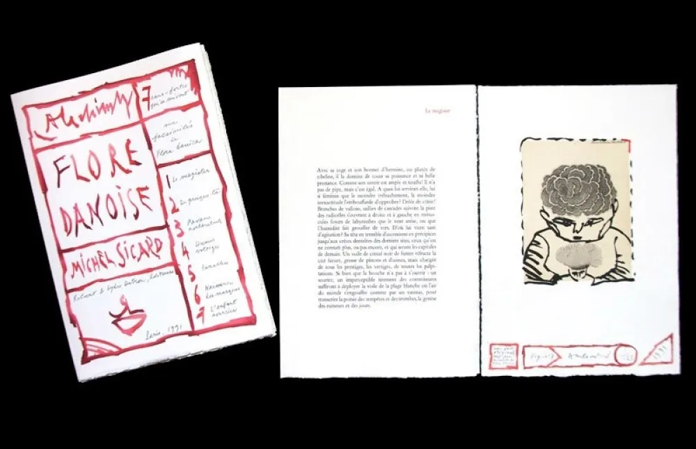 Libro Illustrato Alechinsky - FLORE DANOISE