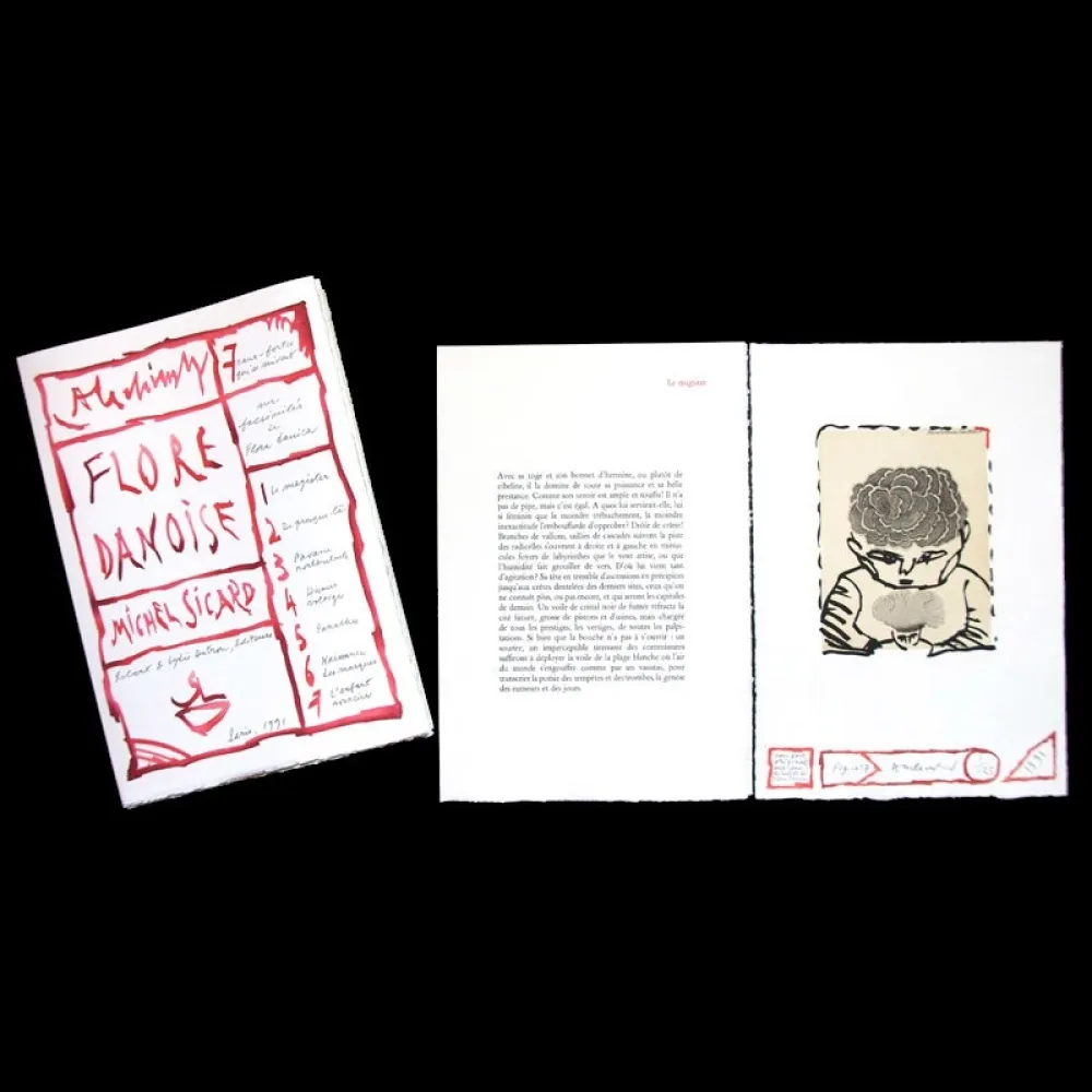 Libro Illustrato Alechinsky - Flore danoise