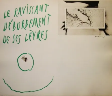 Acquaforte E Acquatinta Alechinsky - La ravissant débordement de ses lèvres