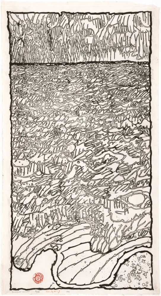 Acquaforte Alechinsky - Mouvement couvrant