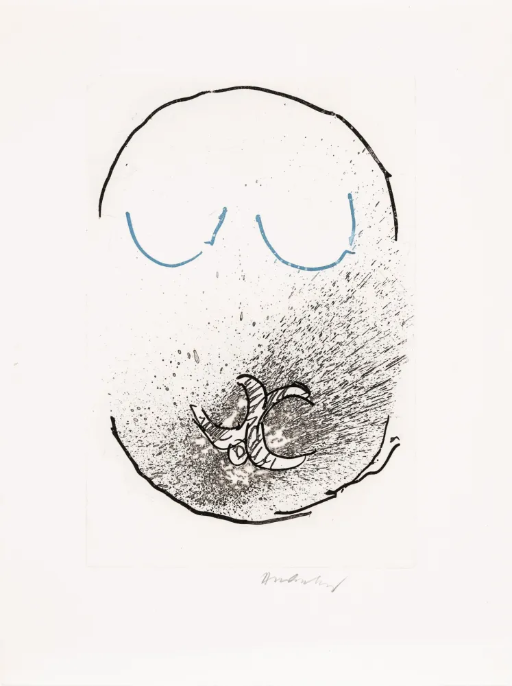 Acquaforte E Acquatinta Alechinsky - Pointes Planche IX bis