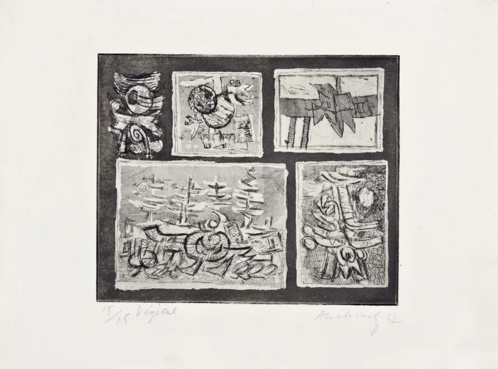 Acquaforte Alechinsky - Végétal