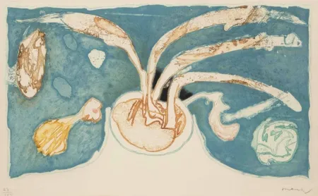 Acquaforte E Acquatinta Alechinsky - Volcan de nuit