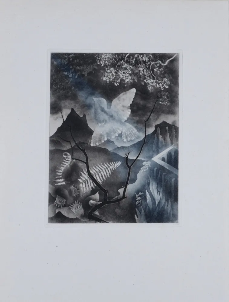 Incisione Alexeïeff - The Dove