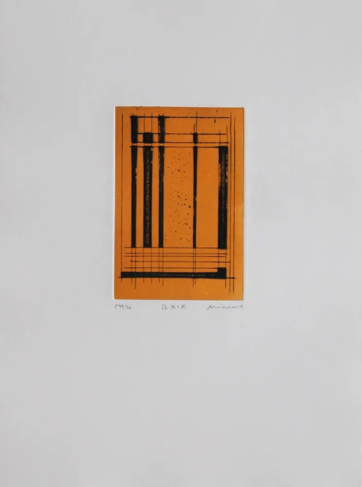 Acquatinta Allirand - B XIX