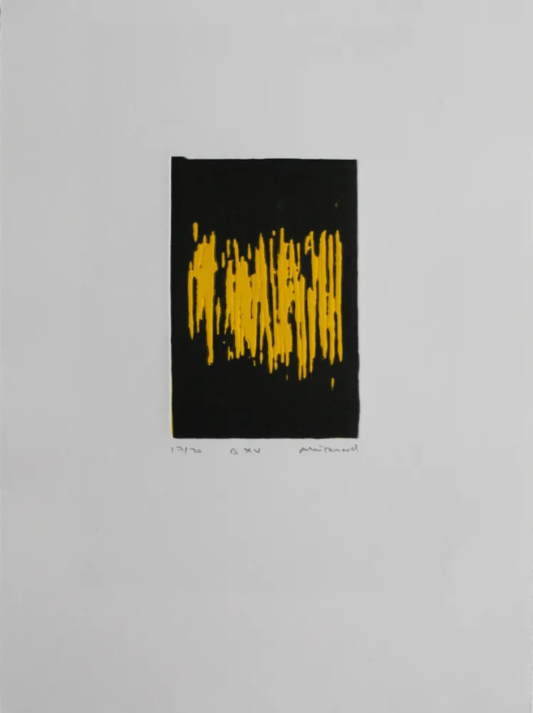 Acquatinta Allirand - B XV