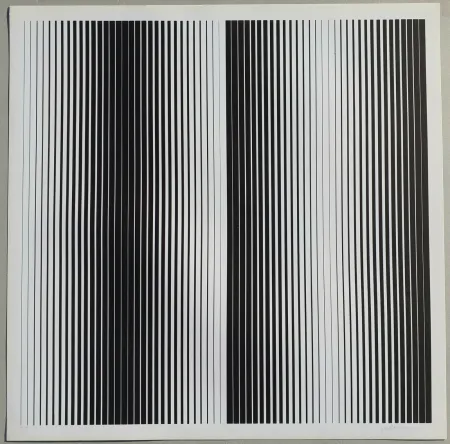 Serigrafia Alviani - Senza titolo