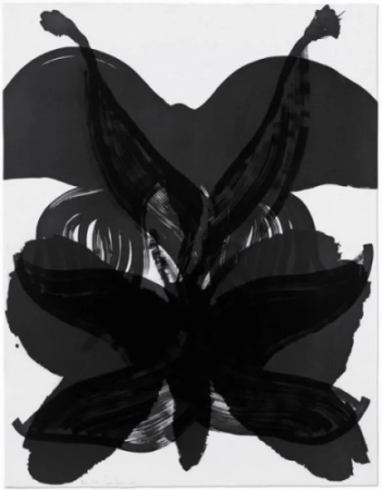 Acquaforte Amorales - Mod. 2