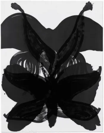 Acquaforte Amorales - Mod. 2