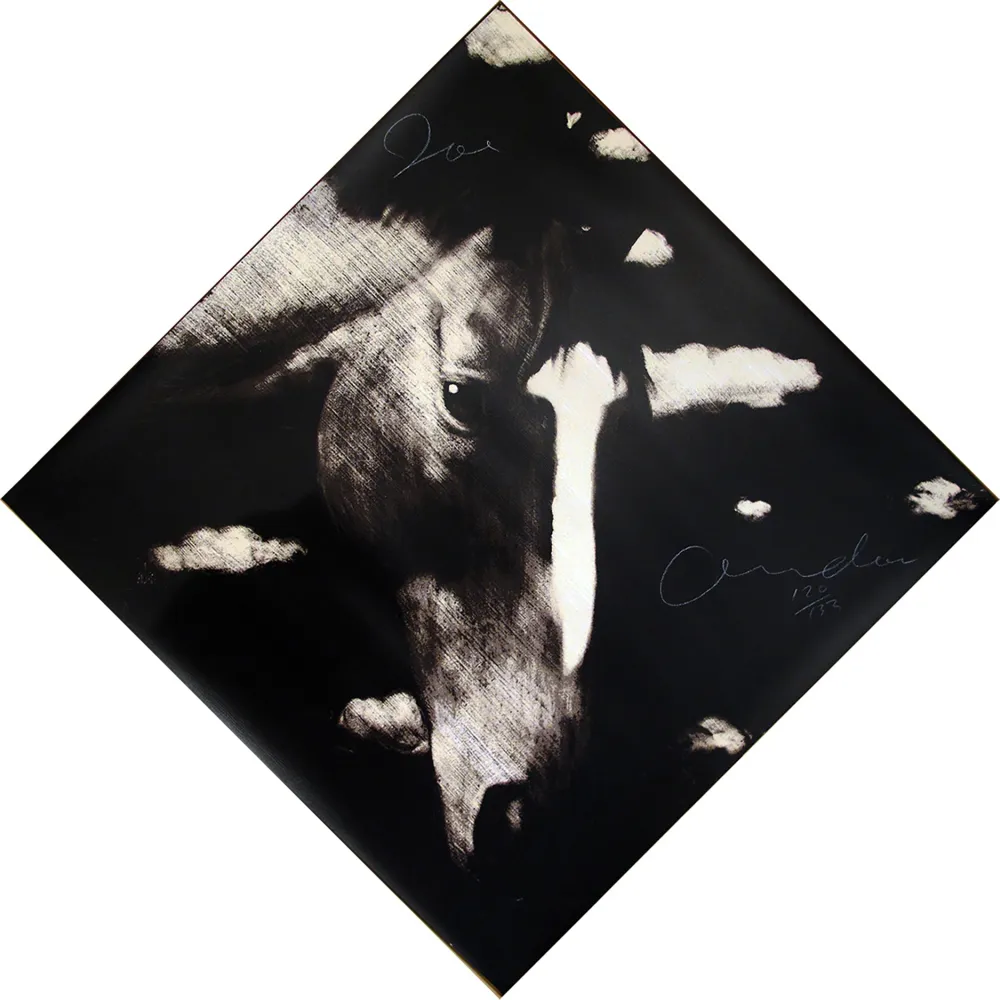 Serigrafia Andoe - Horse II